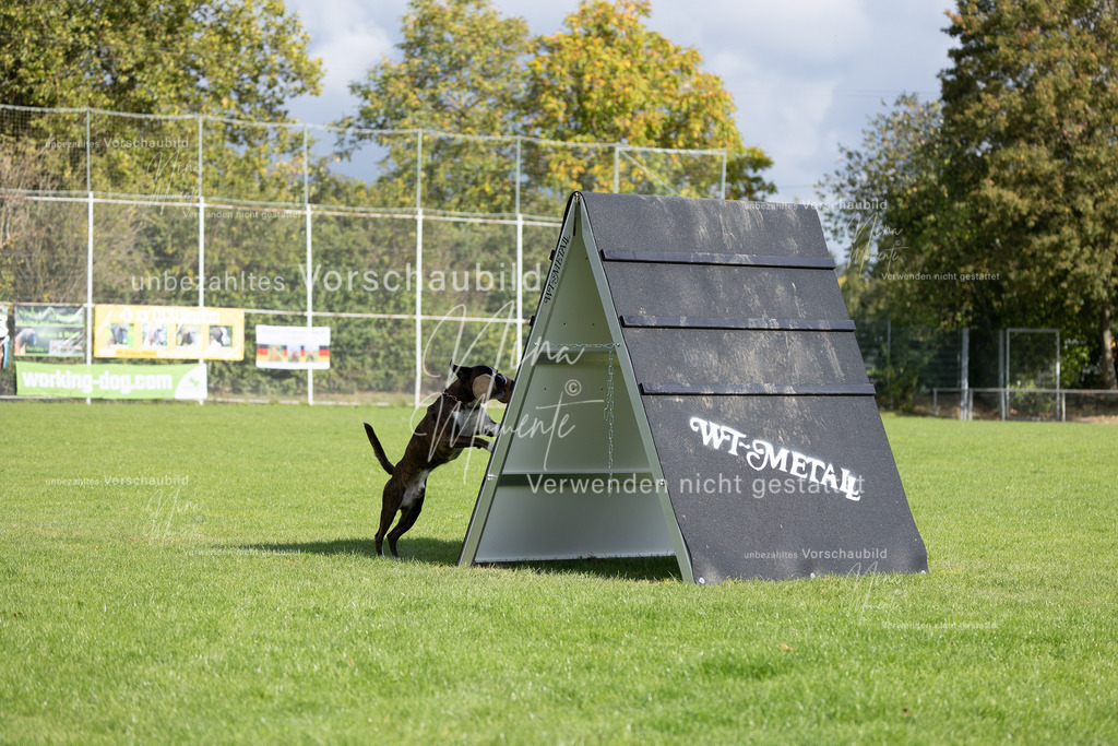 _16A6919 | Einzigartige Fotos von Hunden & Menschen –Actionfotos, Portraits, Vereinsaufnahmen & Paarshootings – authentisch, lebendig & mit Herz.