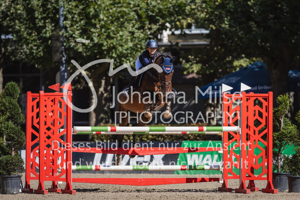 230909_OWLCh_Amateur-M-824 | Deine schönsten Turniermomente als professionelle Fotos! Entdecke hochwertige Pferdesport-Fotografie im Online-Shop. Jetzt Fotos finden & bestellen!