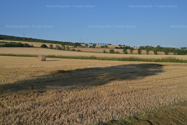 F.Gläser_0544 | Naturfotografie Frauke Gläser - Realisiert mit Pictrs.com