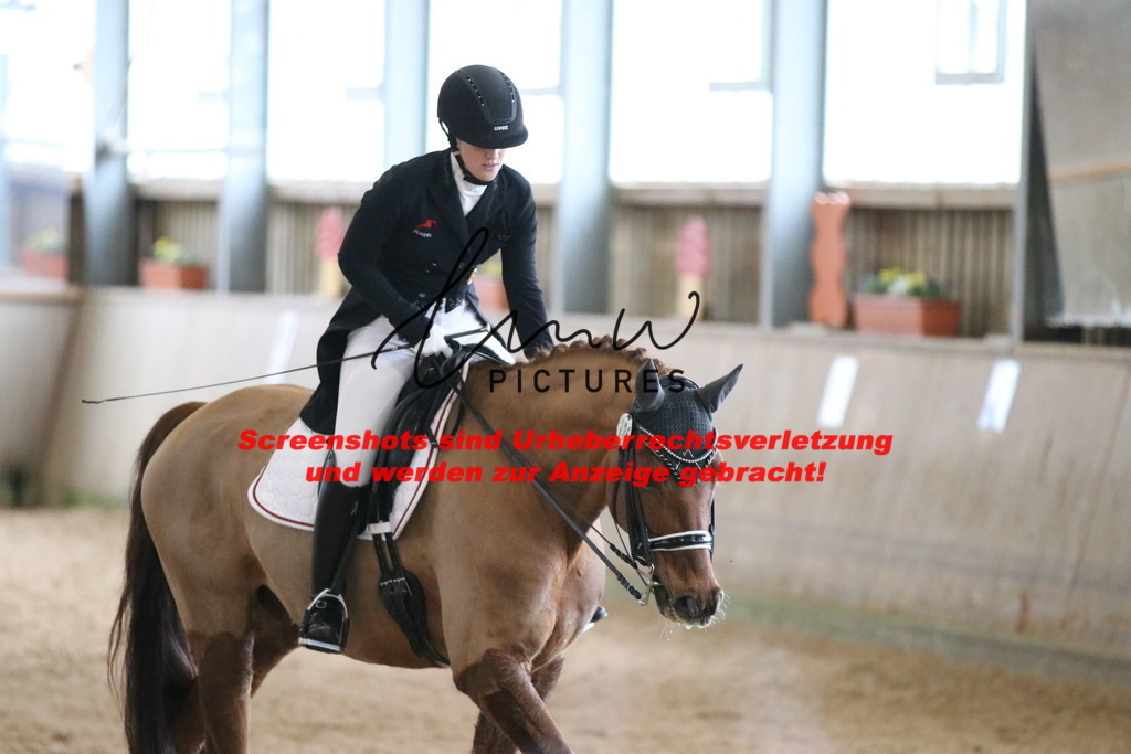 IMG_1165 | lmwpictures - Realisiert mit Pictrs.com