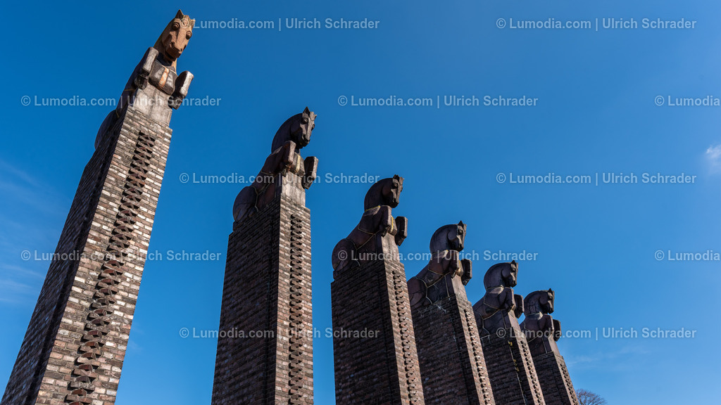 10049-12429 - Magdeburg - Rotehornpark | Stockfoto und Bilderpool mit Bildmaterial aus Deutschland, dem Harz, Halberstadt, Quedlinburg, Wernigerode und weltweit. Qualitativ hochwertige und professionelle Fotos anschauen und kaufen. - Realisiert mit Pictrs.com
