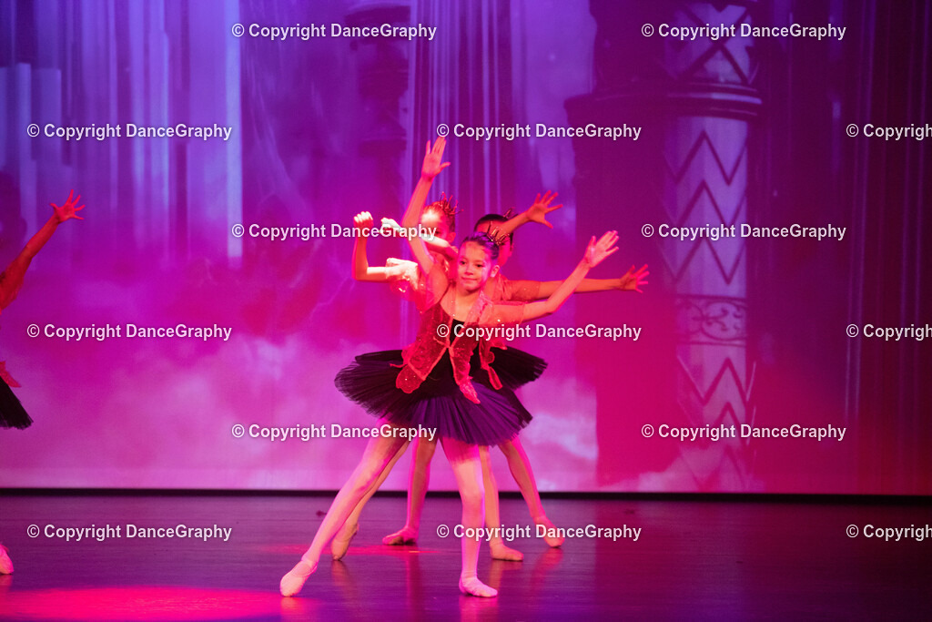 GPHY2155 | DanceGraphy - Realisiert mit Pictrs.com