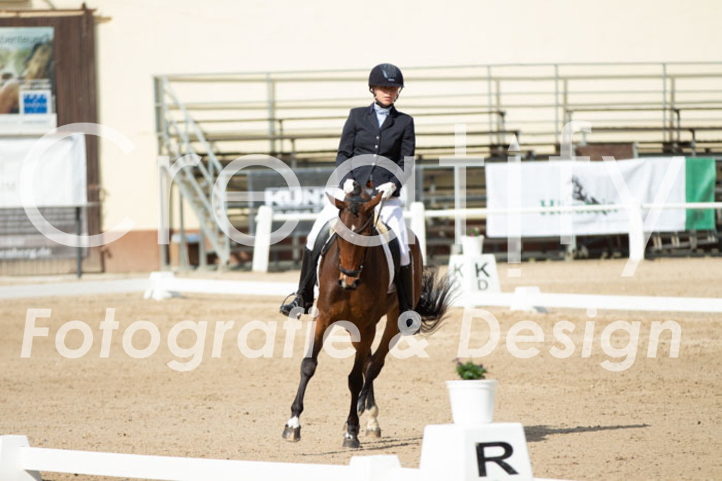 IMG_1198 | Creatify Fotografie