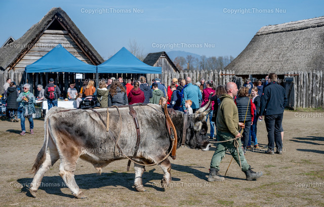 Lauresham_70_DSC_5357 | ble, Lauresham, Saisoneröffnung, ,, Bild: Thomas Neu