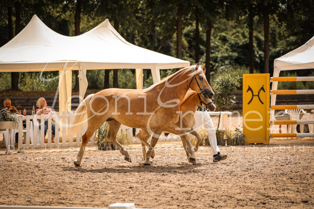 06.So00069 | Leoni Ertmer Photography - Realisiert mit Pictrs.com