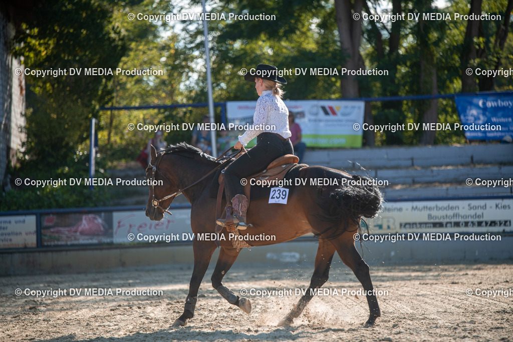 EWP_7087 | dv-media-shop - Realisiert mit Pictrs.com