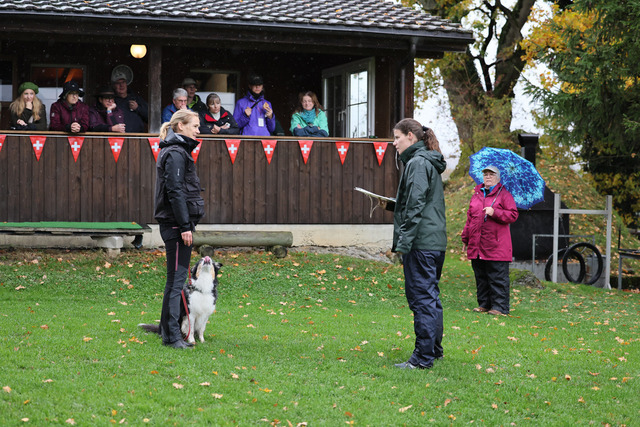 2025_Rally_Obedience_SM-24 | Ich fotografiere Hundeausstellungen, Sportanlässe, Zuchtstätten, Hundezucht, Hundeportrait, Lagotto - Realisiert mit Pictrs.com