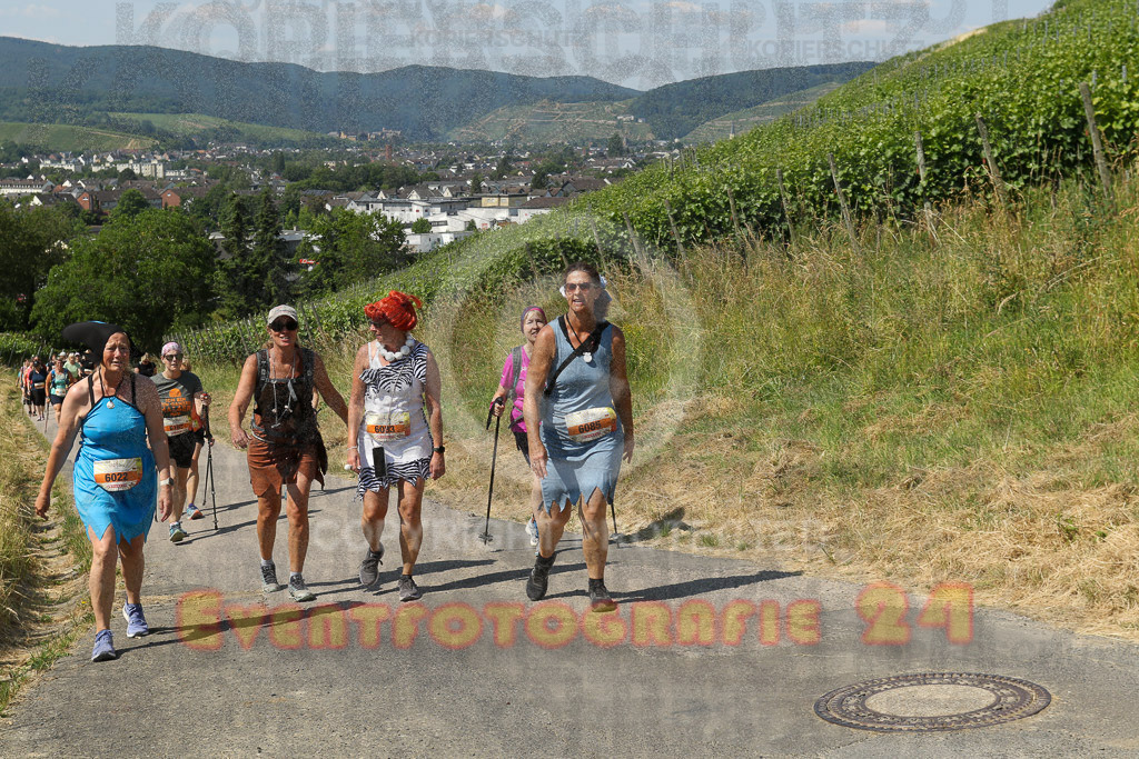 230617_1107_EV9_7657 | Sportfotografie im Rhein-Sieg Kreis, Köln, Bonn, NRW, Rheinland Pfalz, Hessen, etc. Unser Tätigkeitsfeld umfasst den Laufsport vom Volkslauf über den Marathon, Duathlon, Triathon bis zum Ultralauf wie Kölnpfad Ultra oder Schindertrail.