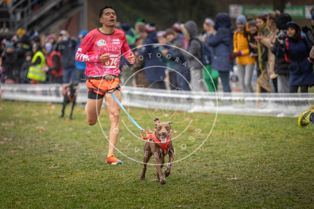 CaniXpix_DV3A9936 | Hundefotografie, Tierfotograf, Pfotenfotografie, Fotoshooting Hund, Hunde Portrait, Hundesport, Hundeportraits, Heideshooting, Hunde, Sportfotograf, Hundefotograf, Turnierhundsport, THS,  - Realisiert mit Pictrs.com