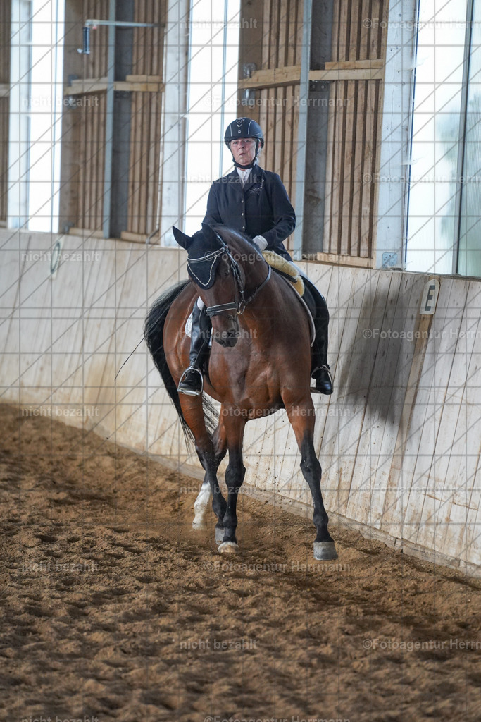 20230917-FAH09875 | Landsberg am Lech, 2023, Kaufbeuren, Kempten, Allgäu, Turnierfotografen Bayern, Fotoagentur Herrmann, Turnierbilder, Reitsport Fotos, Pferdefotograf, Augsburg, Bad Tölz, Dachau, Karlsfeld, Memmingen, Buchloe, Schwabmünchen