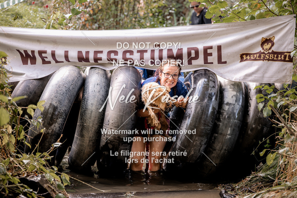 nelerasche_Hunsrück2026_Sa1400-1500_144 | nelerasche
