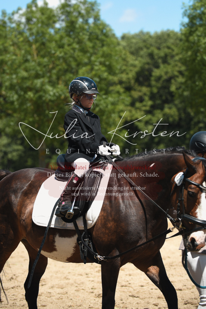DSC_1772 | Pferde- und Turnierfotografie in Westsachsen. Pferdeportraits, Auftragszeichnungen und intuitive Kunst.