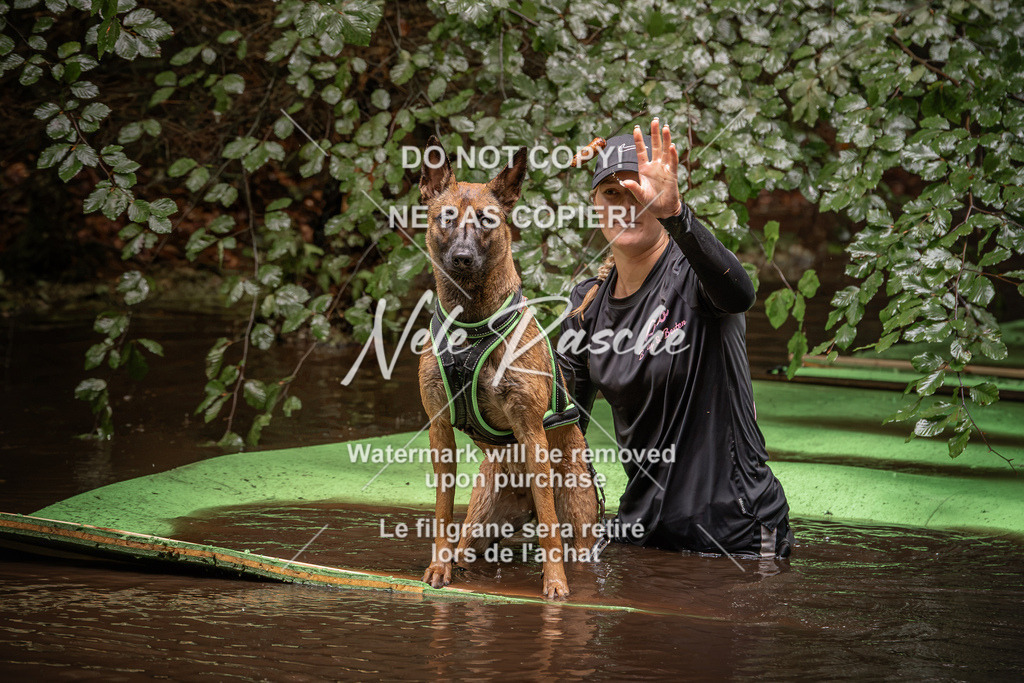 nelerasche_Wingst_Sa1330-1400_85 | nelerasche