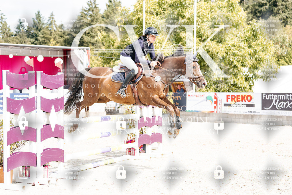 CK908988 | Turnierfotografie Pferdefotografie Trier Rheinland-Pfalz Pferdesport Reitsport Tierfotografie Sportfotografie Pferdevideo Pferdevideografie Equestrianvideography equestrianphotography  - Realisiert mit Pictrs.com