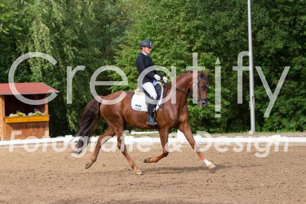 IMG_3754 | Creatify Fotografie