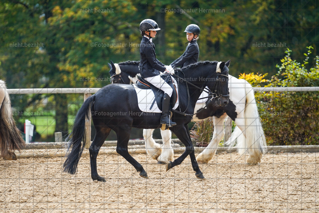 20221008-FAH01357 | Diessen am Ammersee, 2022, Dressur- und Springturnier, Reitsportbilder, Turnierfotografen Bayern, Pferdefotografen, Fotoagentur Herrmann, Turnierbilder