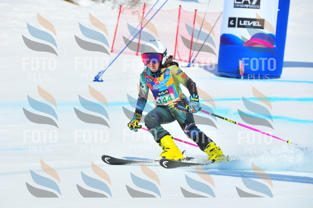 DSC_1219 | holidayphoto