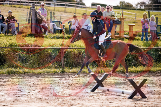 2026_10_03_Siefer-Hof_145735_Z81_39586035 | Professionelle Reitsport-, Turnier- und Eventfotografie von Robert Broda. Galerien mit ausgewählten und bearbeiteten Bildern direkt online ansehen und bestellen.