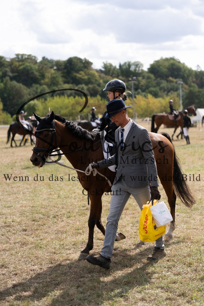A7V08998 | Turnier/Reitfotograf