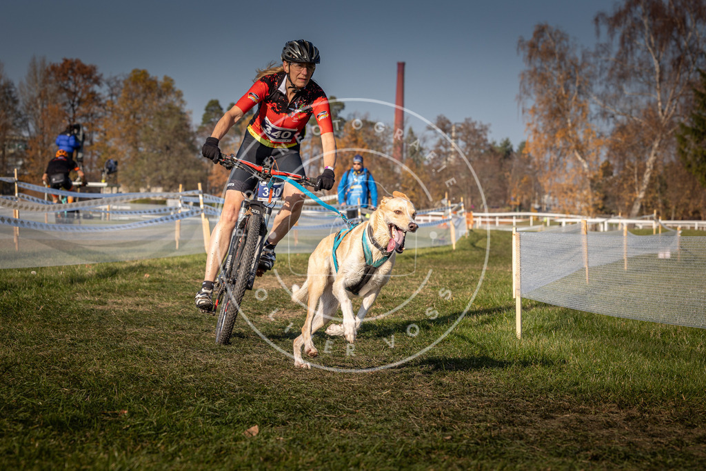 CaniXpix_0L8A7940 | Hundefotografie, Tierfotograf, Pfotenfotografie, Fotoshooting Hund, Hunde Portrait, Hundesport, Hundeportraits, Heideshooting, Hunde, Sportfotograf, Hundefotograf, Turnierhundsport, THS,  - Realisiert mit Pictrs.com