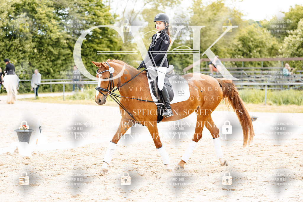 CK904538 | Turnierfotografie Pferdefotografie Trier Rheinland-Pfalz Pferdesport Reitsport Tierfotografie Sportfotografie Pferdevideo Pferdevideografie Equestrianvideography equestrianphotography  - Realisiert mit Pictrs.com