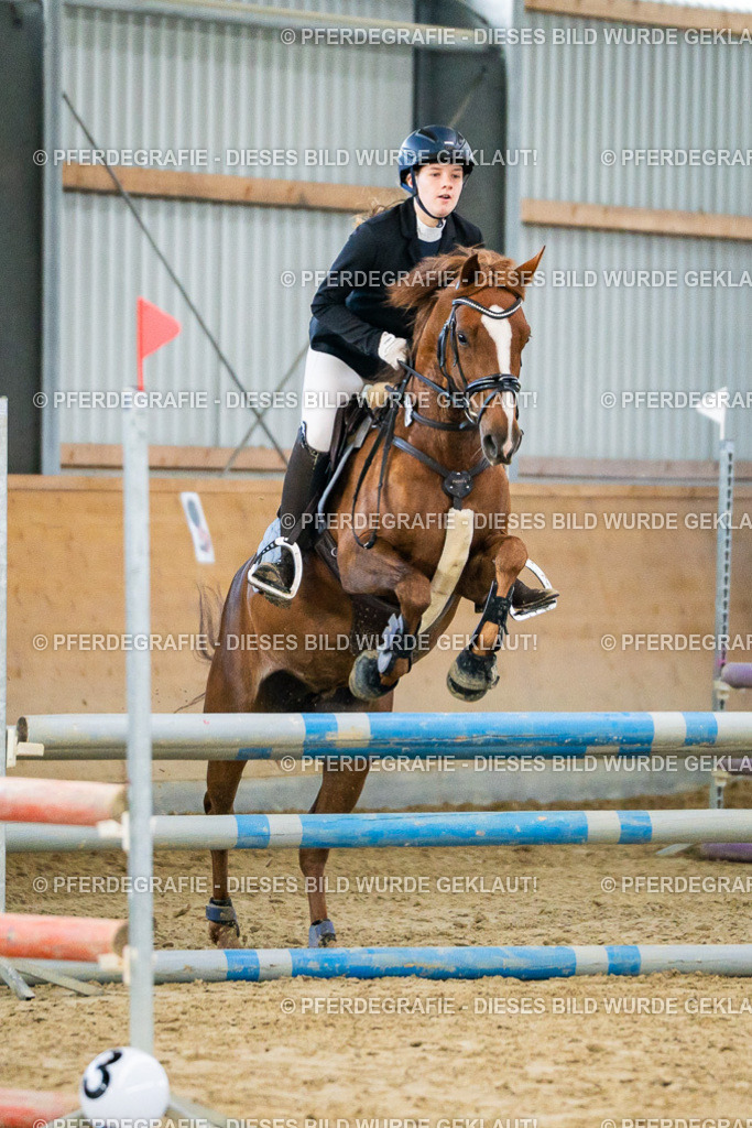 DSC00461 | Pferdegrafie