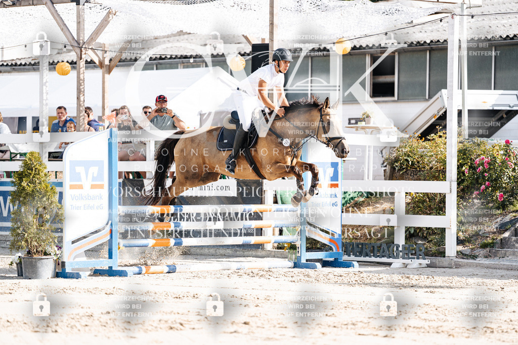 CK909184 | Turnierfotografie Pferdefotografie Trier Rheinland-Pfalz Pferdesport Reitsport Tierfotografie Sportfotografie Pferdevideo Pferdevideografie Equestrianvideography equestrianphotography  - Realisiert mit Pictrs.com
