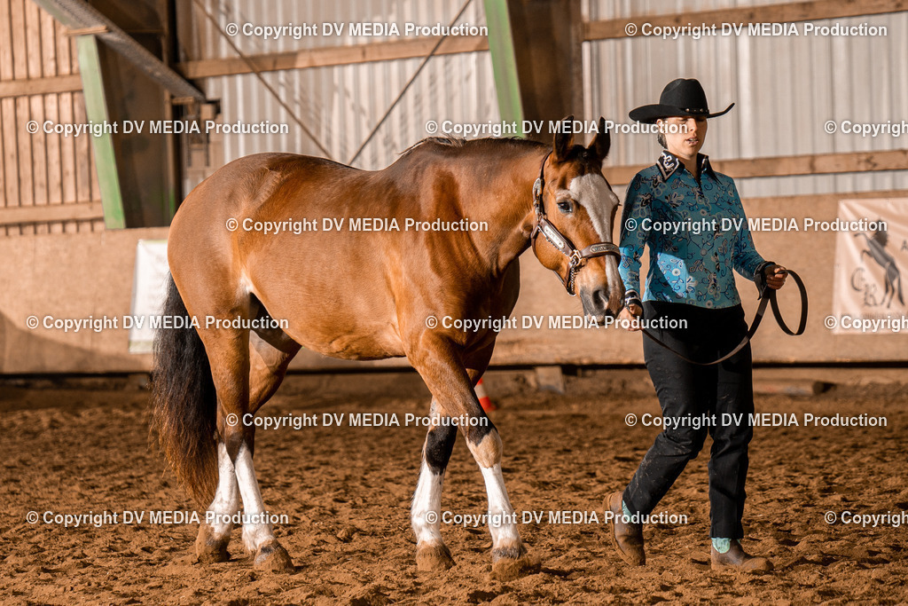 BAL01223 | dv-media-shop - Realisiert mit Pictrs.com