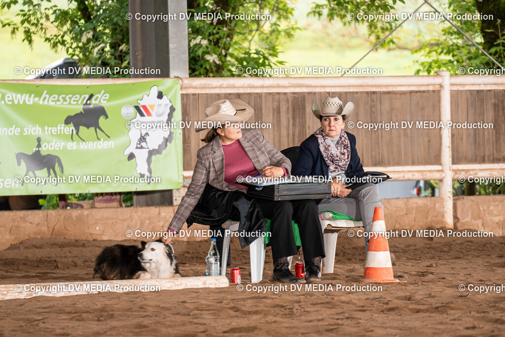 Erbach Tag 1-675 | dv-media-shop - Realisiert mit Pictrs.com