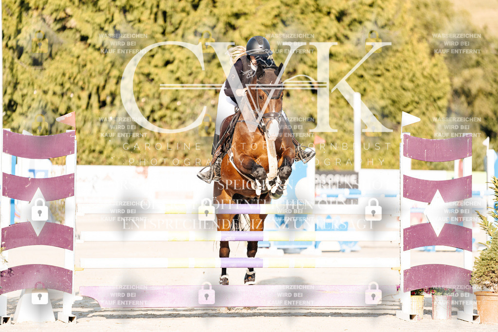 CK900592 | Turnierfotografie Pferdefotografie Trier Rheinland-Pfalz Pferdesport Reitsport Tierfotografie Sportfotografie Pferdevideo Pferdevideografie Equestrianvideography equestrianphotography  - Realisiert mit Pictrs.com