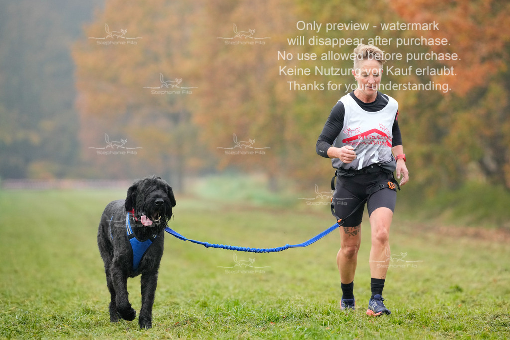 Visbeck_Sa_CC-132 | stephaniefillaphotographie - Realisiert mit Pictrs.com