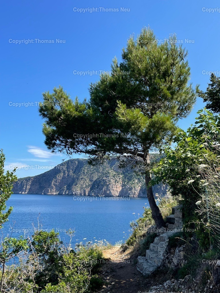 IMG_3822 | Hochwertige Fotografien aus Bensheim, der hessischen Bergstraße und dem Odenwald. Stadtansichten, Landschaften und historische Motive von Fotograf Thomas Neu- als Datei und Print erhältlich