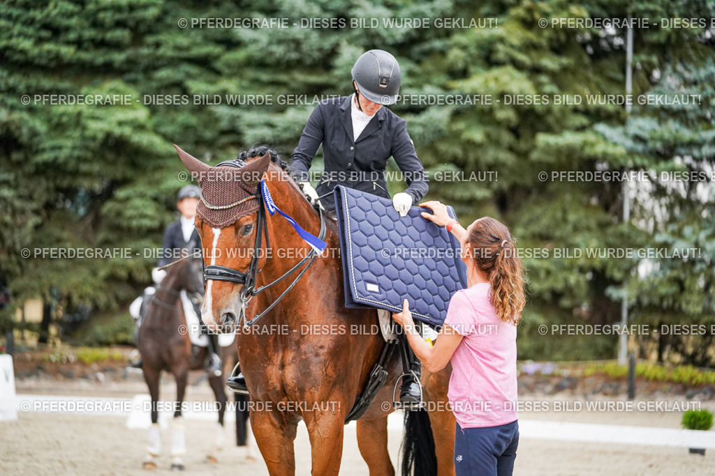 DSC09933 | Pferdegrafie