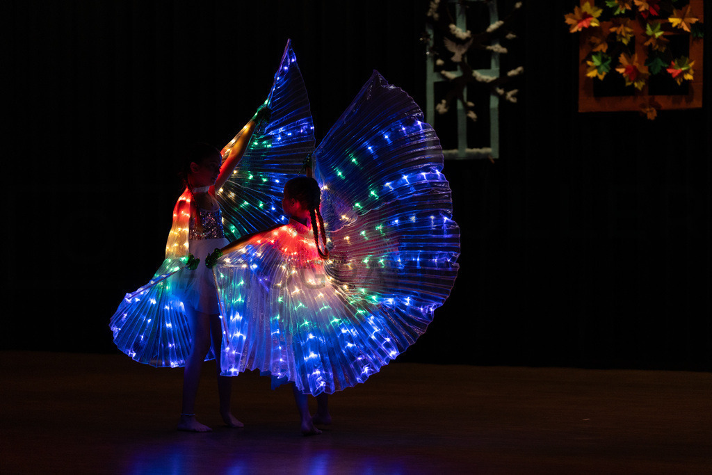 DSC08716 | Tinu Müller Fotografie- Bildershop - Realisiert mit Pictrs.com