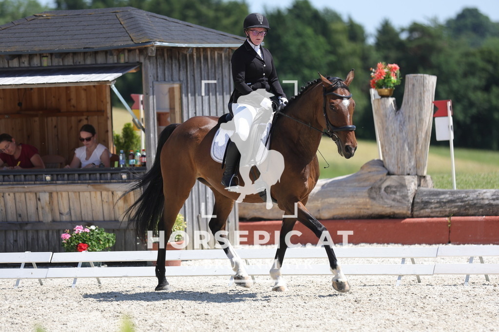 0P6A6568 | Willkommen bei Brunnmayr - Design & Fotografie – Ihrem Spezialisten für Reitturniere und Pferdeveranstaltungen in Oberösterreich, Salzburg und Bayern! Seit über 17 Jahren sind wir leidenschaftlich dabei.