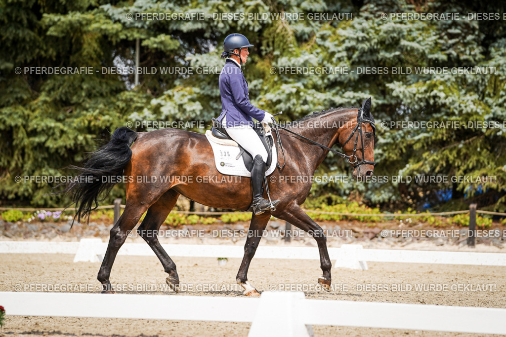 DSC03865 | Pferdegrafie