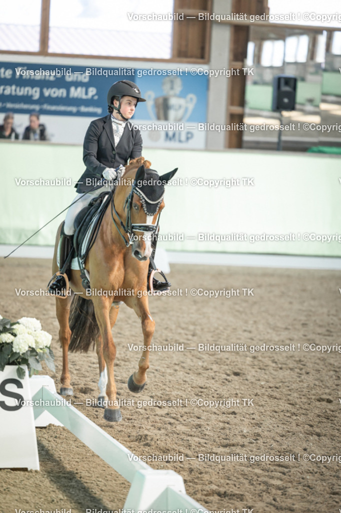 _D5A2578 | Emotionale Pferde- & People-Fotografie rund um Heidelberg, Leimen & Umgebung. Natürliche Fotos von Pferd, Mensch & Familie. Jetzt Termin sichern!