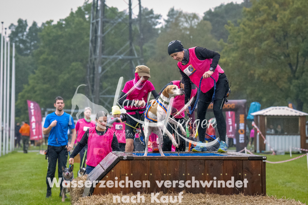 1005-2-3 | kk-dogfotos