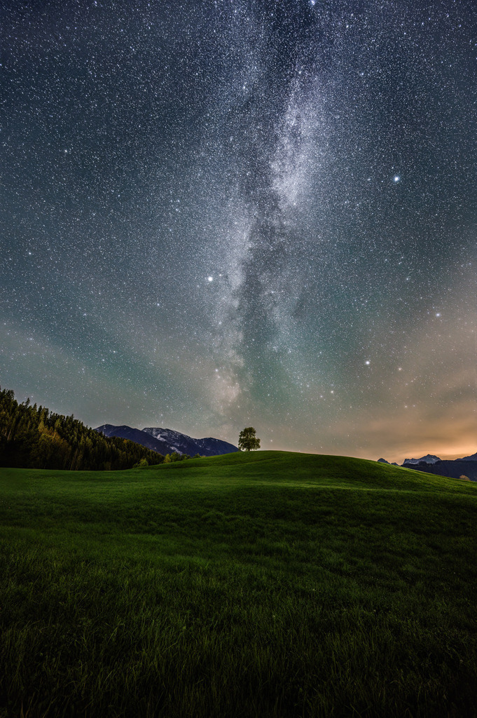 RRF_7838-Mean Min Hor Star Dupe | Fotografie die berührt. - Realisiert mit Pictrs.com