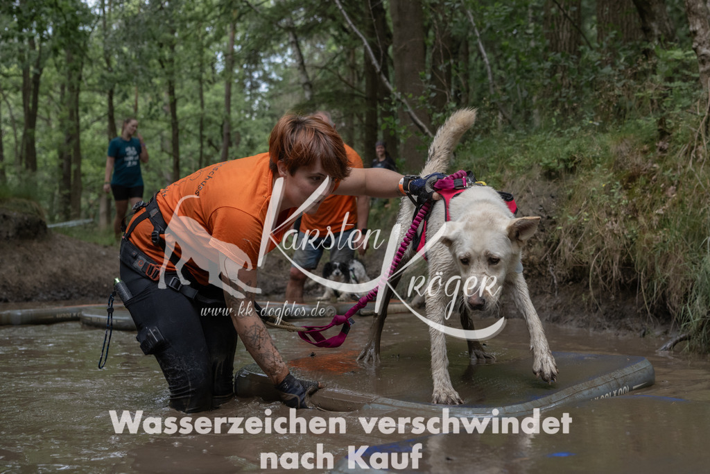 1346_ZZ95823 | kk-dogfotos