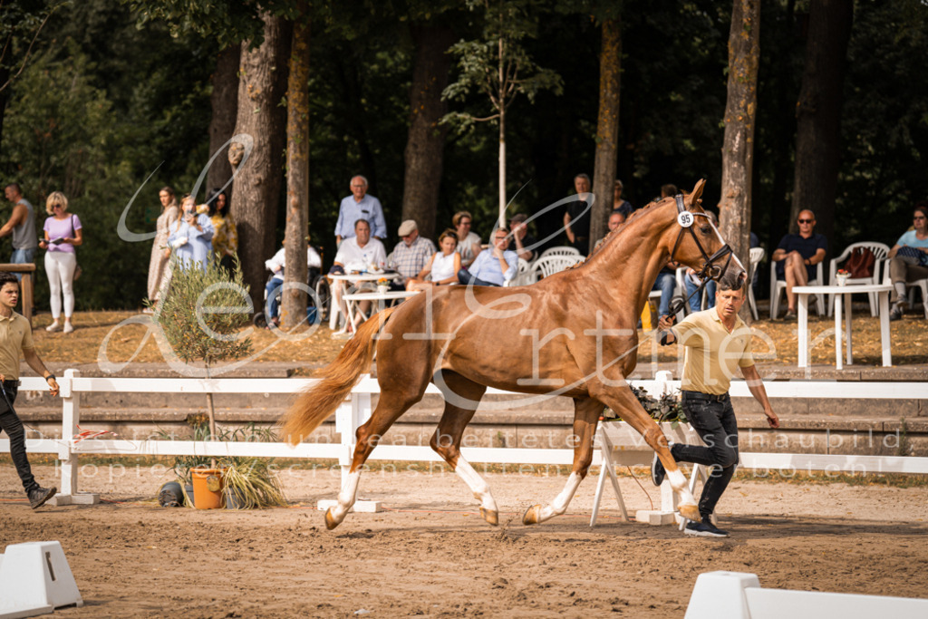 7.Fr00005 | Leoni Ertmer Photography - Realisiert mit Pictrs.com