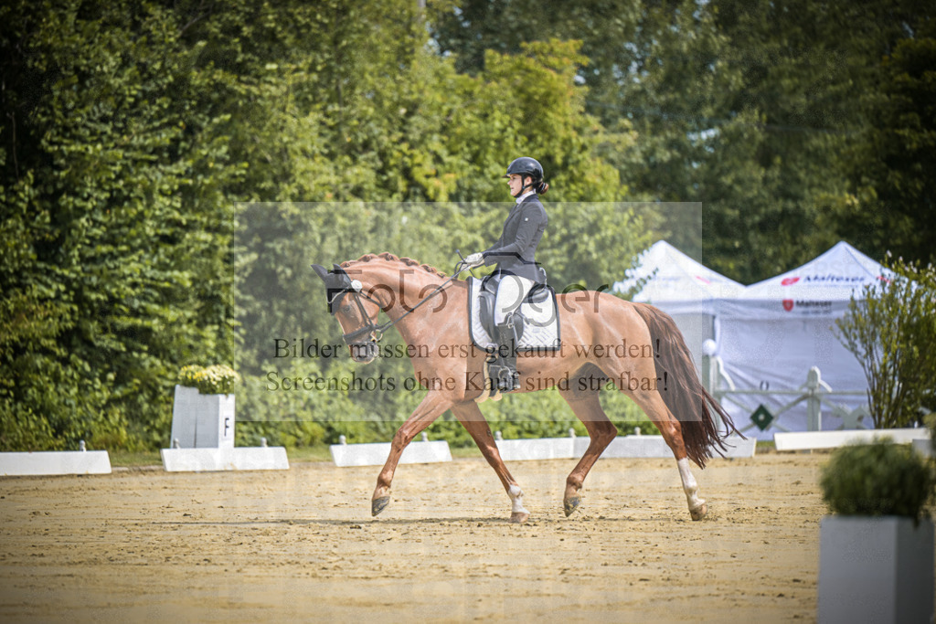 DOS_9850 | Entdecke hochwertige Reitturnierfotos von Foto Oger. Professionell, emotional und authentisch – jetzt Lieblingsmomente im Shop bestellen.Deutschlandweite Turnierfotografie. - Realisiert mit Pictrs.com