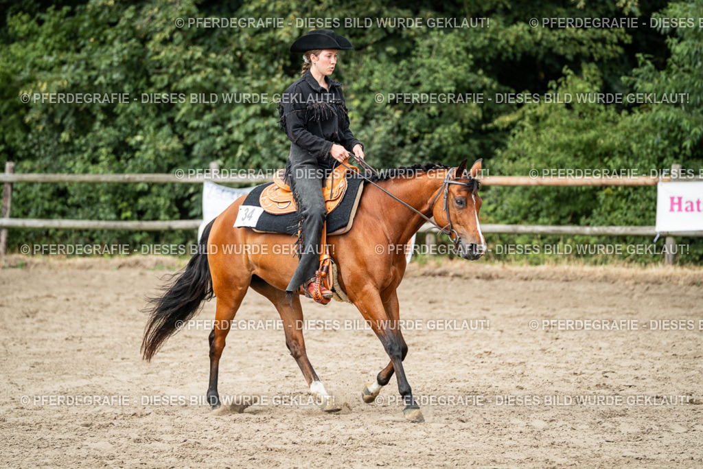 DSC02262 | Pferdegrafie