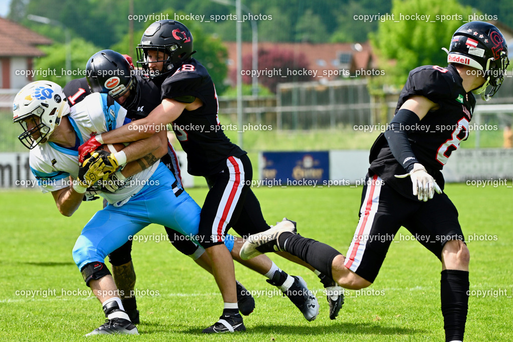 Carinthian Lions vs. Styrian Bears | Carinthian Lions vs. Styrian Bears, Carinthian Lions vs. Styrian Bears am 20.05.2024 in Klagenfurt (ASV Sportplatz), Austria, (Photo by Bernd Stefan)