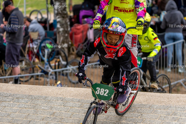 BayBMX2026-05302 | Fotogalerie von Thomas Dettweiler mit Eventbildern und lizenzfreien Fotos. Perfekt als Wandbild, für Büro, Website oder private Nutzung. - Realisiert mit Pictrs.com