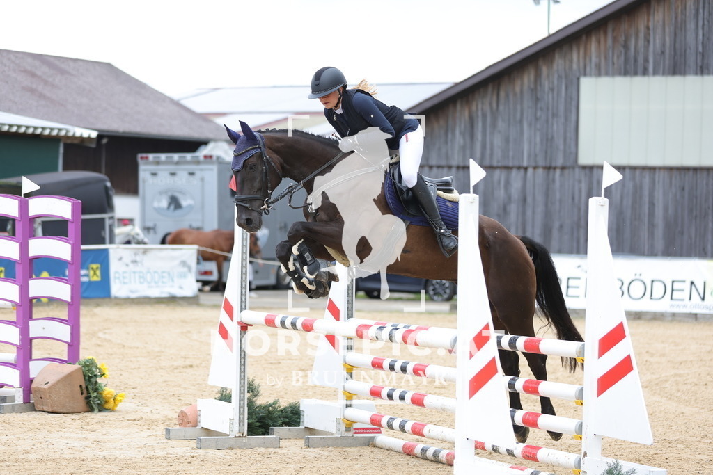 0P6A4894 | Willkommen bei Brunnmayr - Design & Fotografie – Ihrem Spezialisten für Reitturniere und Pferdeveranstaltungen in Oberösterreich, Salzburg und Bayern! Seit über 17 Jahren sind wir leidenschaftlich dabei.