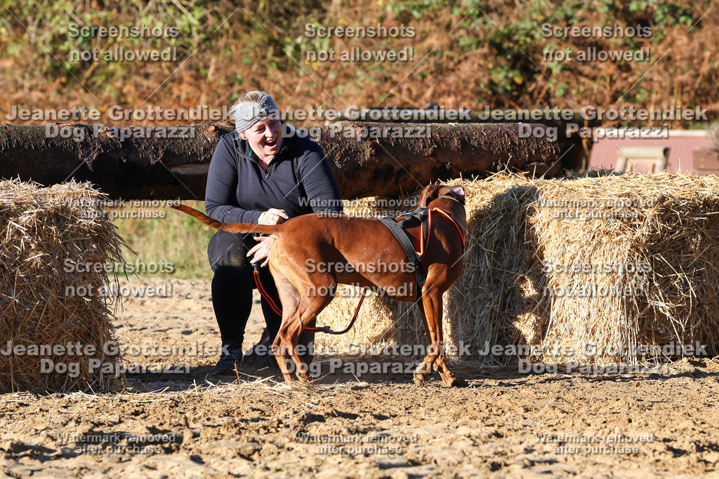 Dog Paparazzi - Strongdog 10-25-1324 | Dog Paparazzi Jeanette Grottendiek Fotografie & Videografie - Realisiert mit Pictrs.com