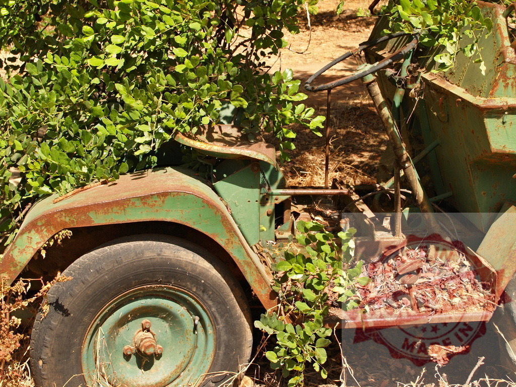 Old abandoned rusty truck overgrown by nature | Rusty vintage truck left decaying in nature, becoming part of the landscape - Realized with Pictrs.com