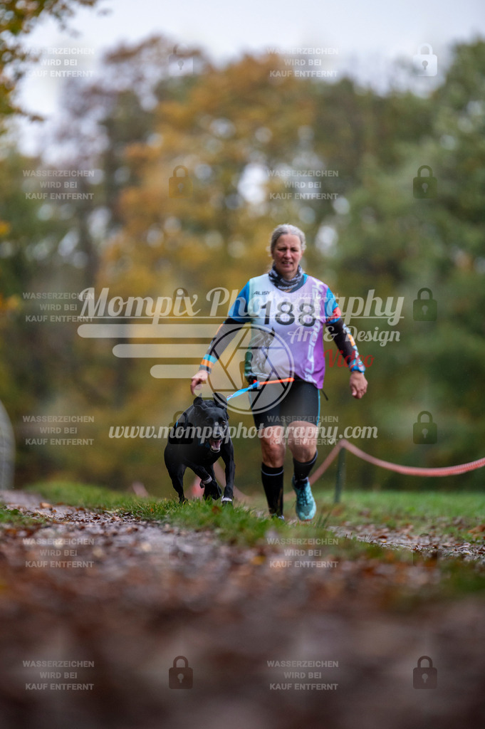 DBT_DAKM_SA_4_11_2023_Canicross-108 | PayLife