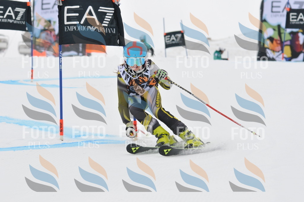 DSC_7532 | holidayphoto